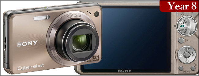 Sony Cyber-shot DSC-W290 12 MP Digital Camera