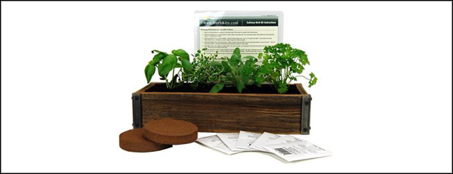 Reclaimed Barnwood Planter Box Mini Herb Garden Kit