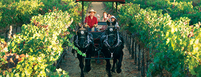 The Wine Carriage