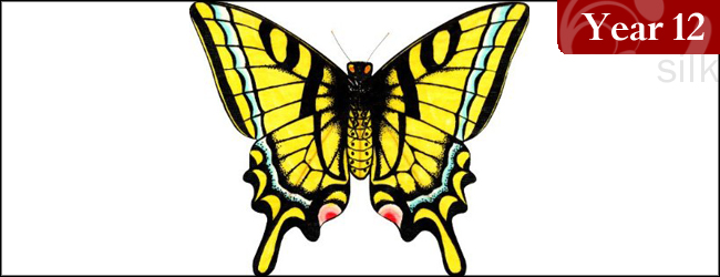 Decorative Miniature Swallowtail Karner Butterfly Kite