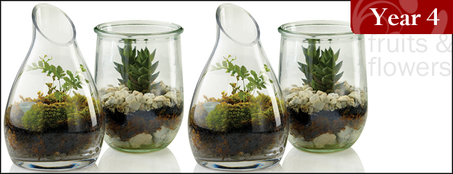 Live Terrarium To Go, Carafe