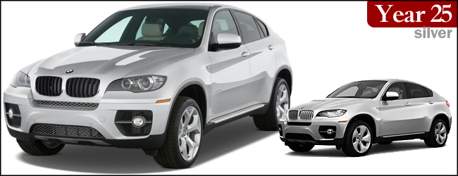 BMW ActiveHybrid X6