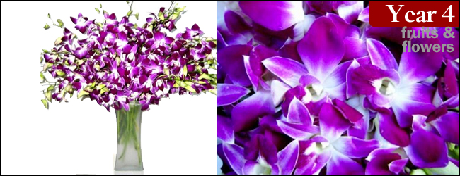 20 Purple Dendrobium Orchids with Vase