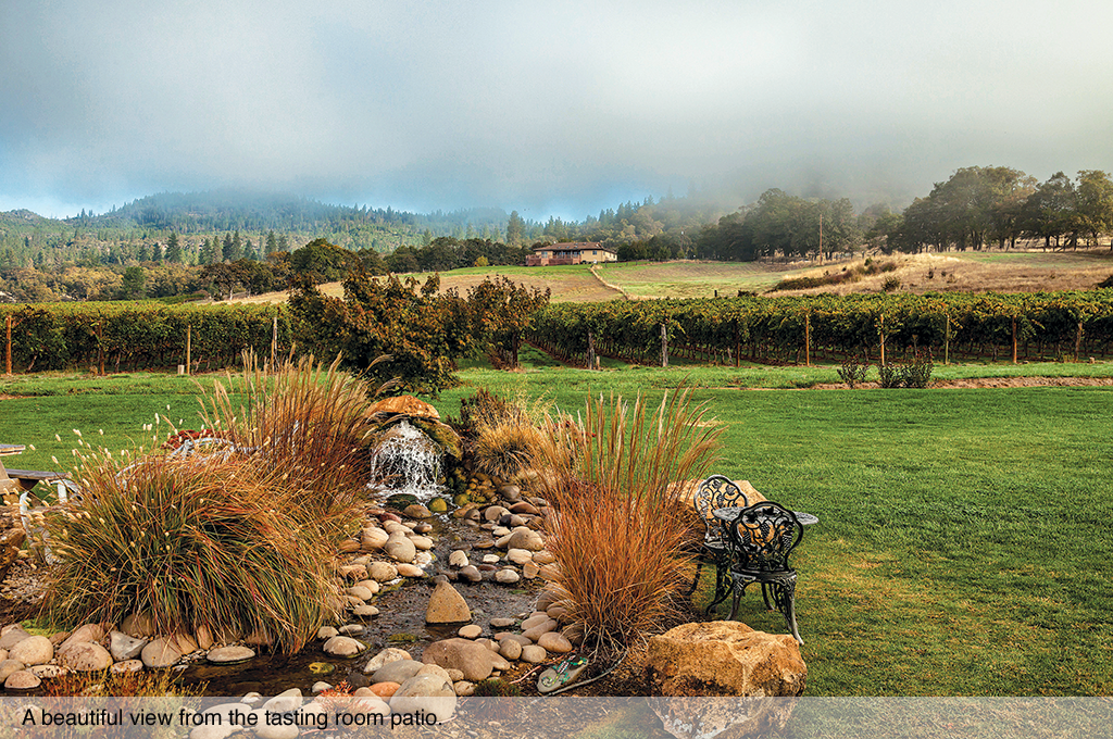 A view from the tasting patio room.